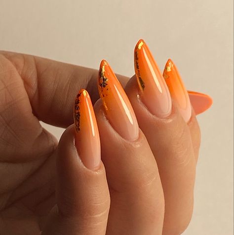 Almond shape Matte Round Nails, Orange Ombré Nails, Orange Ombre Nails, Ombré Nails, Orange Ombre, Almond Shape, Round Nails, Orange Nails, Ombre Nails