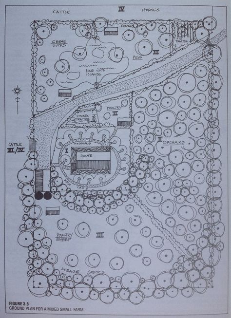 Permaculture 101: Zones Permaculture Zones, Permaculture Farming, Permaculture Farm, Homestead Layout, Food Forest Garden, Permaculture Principles, Hobby Farming, Herb Farm, Farm Layout