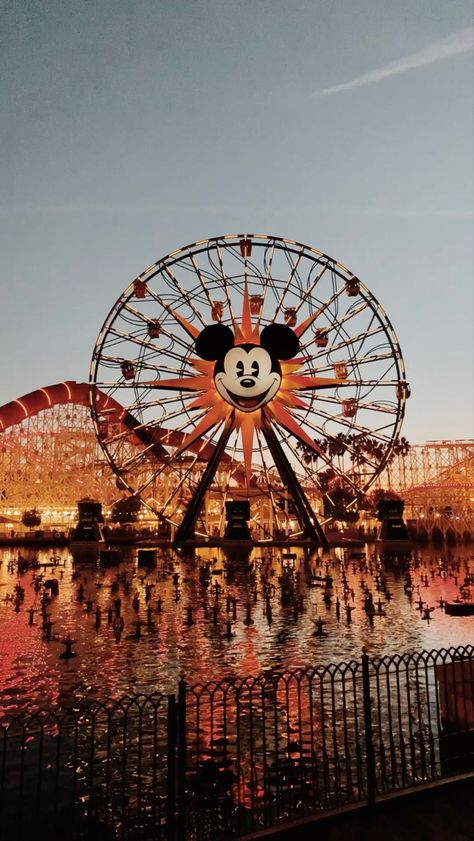 Mickey Ferris Wheel, Disney Ferris Wheel, Coaster Aesthetic, Disney Calendar, California Adventure, Disney Pins, Happy Moments, Roller Coaster, Ferris Wheel