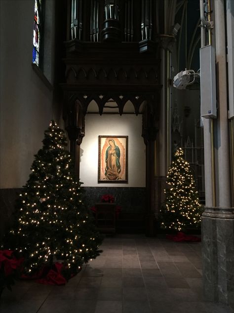 Christmas 2016 Cathedral of St. Andrew Grand Rapids, MI Christmas Cathedral, Cathedral Interior, St Andrew, Dark Christmas, Cathedral Church, Grand Rapids Mi, Christmas 2016, Aesthetic Pics, Disney Quotes