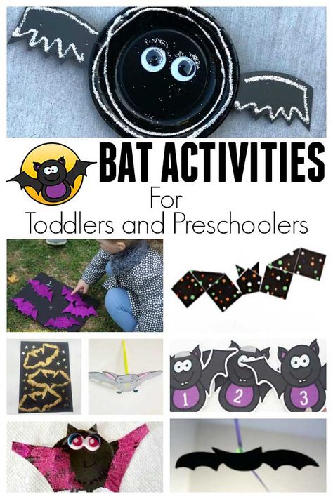 Week activity plan for bat or nocturnal animals with the featured book Stellaluna by Janell Cannon, aimed at Toddlers and Preschoolers #toddleractivities #vbcforkids #preschoolactivities #totschool #preschoolathome #eyfs #ece #education #earlyeducation Bat Lessons, Stellaluna Activities, Bat Activities, Prek Halloween, Bats Activities, Fun Activites, Habit 5, Animals Activities, Creepy Creatures