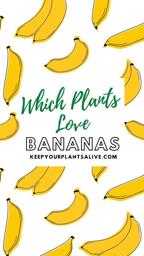 Banana Fertilizer For Plants, Banana Peels In Water For Plants, Using Bananas In The Garden, How To Use Banana Peels For Plants, Banana Skin Water For Plants, Banana Peels In The Garden, Banana Peel Fertilizer For Orchids, Banana Plant Fertilizer, Banana For Plants