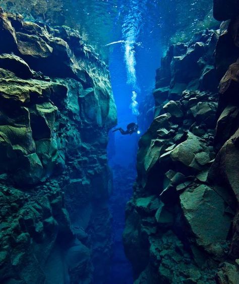 Alex Mustard, 36, dived 80 feet into the crevice between North America and Eurasia to reveal the stunning landscape Tectonic Plates, Bawah Air, Under The Water, Ocean Eyes, Australian Travel, Image Nature, Plate Tectonics, Sea Photo, Underwater Photos