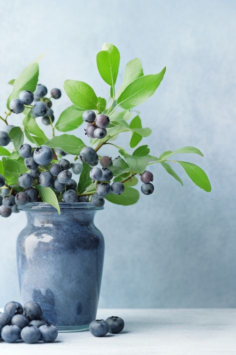 AI ART | Blueberries in vase ♥ Click to shop Kitchen Minimalism Posters! Hydrangea Vase, Watercolour Inspiration, Paint Night, Shop Kitchen, Still Life Art, Art Bundle, Blue Hydrangea, Oval Frame, Paint Party