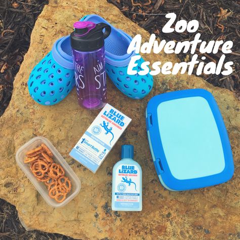 Zoo Trip, Toddler Hacks, Blue Lizard, The Zoo, A Perfect Day, Must Have Items, What To Pack, 5 Things, Perfect Day