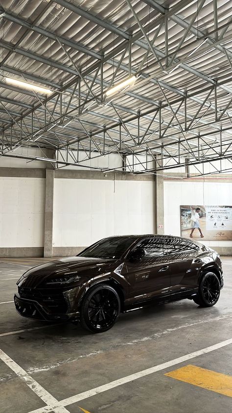 #Lamborghini Urus Brown Lamborghini Urus, Brown Lamborghini, Lamborghini Urus Aesthetic, Aesthetic Lamborghini, Urus Black, Honda Accord Sport, Lions Gate, Lamborghini Urus, Street Racing Cars