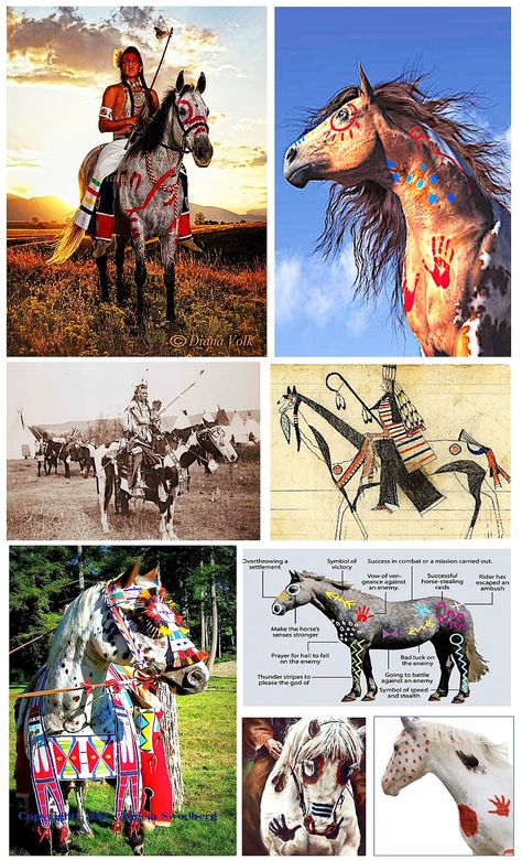 Horse Halloween Costumes, Native American Horses, Indian Horses, American Paint Horse, Painted Horses, Horse Costumes, American Paint, Paint Horse, Horse And Rider