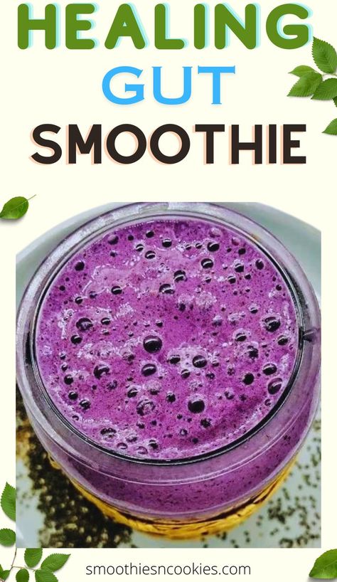 Healing Gut Smoothie Gut Healing Breakfast, Healing Breakfast, Greek Yogurt Smoothie Recipes, Protein Blueberry, Healthy Protein Smoothies, Healing Smoothie, Greek Yogurt Smoothie, Healthy Gut Recipes, Healthy Fruit Smoothies