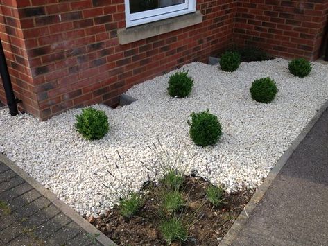 Cotswold Chippings Garden, Nice Garden, Golden Garden, Modern Front Yard, Grey Slate, Front Gardens, Garden Border, Driveway Landscaping, Backyard Plants