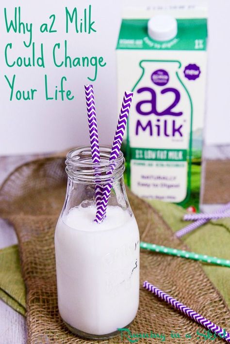 Why a2 Milk products could change your life!  This milk could help your symptoms if you have milk intolerance or dairy sensitivity. What makes it different and how it helps in the post! / Running in a Skirt  FeelsGood AD Recipes Using Milk, Recipe Using Milk, A2 Milk, Milk Benefits, Milk Products, Plant Paradox, Anti Dieting, Vegetarian Entrees, Healthy Bites