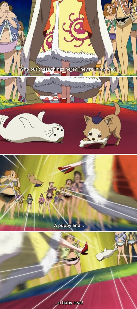 Whos Who One Piece, One Piece Screenshots, Baby Seal, An Anime, Funny Pictures, Puppies, One Piece, Funny, Anime