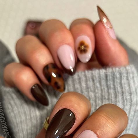 REUSABLE PRESS ON NAILS on Instagram: "REED🏷️ tortie mismatch set 🍁 the cutest!! Link in bio to shop💸   Inspo @staceydee.nailartist 🤎🤎🤎" Tortious Nails, Tortoise Nails Design, Fall Simple Nails, Tortishell Nails Design, Tortie Nails, Nails Trendy Short, Mismatched Nail Art, Mismatched Nails, Tortoise Shell Nails