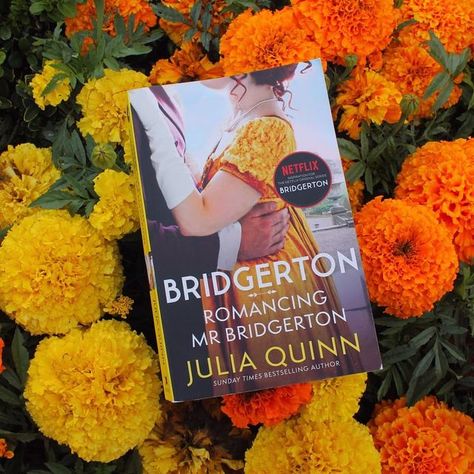 Bridgerton Books, Romancing Mister Bridgerton Book, Romancing Mister Bridgerton, Bridgerton Penelope, Bridgerton Family, Book Presentation, Julia Quinn, Charity Shop, Book Aesthetic