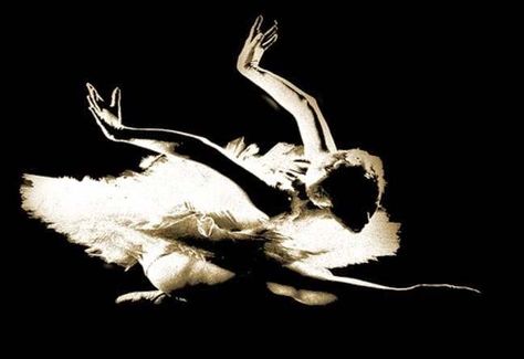 Ballet Beauty, Russian Ballet, Ballet Art, Ballet Photography, Ballet Beautiful, White Swan, Dance Photos, Six Feet Under, Dance Pictures