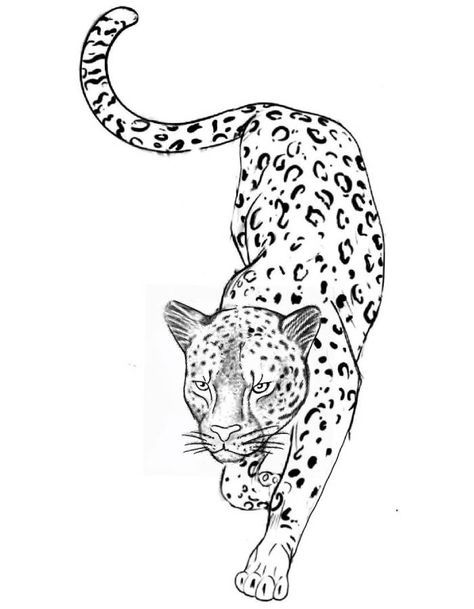 Leopard Coloring Pages | Free Printable Leopard Tattoo On Thigh, Leopard Rib Tattoo, Leopard Tattoo Stencil, Jaguar Tattoo Stencil, Fine Line Leopard Tattoo, Big Tattoo Stencil, Patch Work Tattoos Women, Jaguar Stencil, Jaguar Tattoo For Women