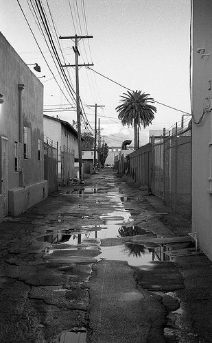 "Motor/Venice, Los Angeles, California" Venice Los Angeles, Cool Photography, Pathway Landscaping, Hidden Beauty, Cyberpunk City, Gray Aesthetic, Blog Images, City Scene, Photography Blog