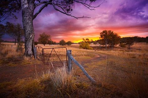 Sunset Art Painting, Rural Photography, Australia Landscape, Australian Photography, Wild Photography, Farm Paintings, Farm Photography, Outback Australia, Landscape Photography Nature