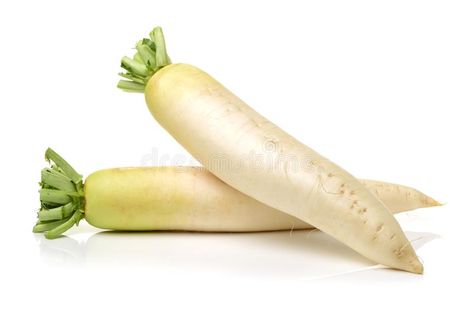 Daikon White Radish. Isolated on white background #Sponsored , #ad, #AD, #White, #background, #white, #Daikon Math Puzzles Brain Teasers, White Backround, White Radish, Math Puzzles, Nature Drawing, Background White, Brain Teasers, Cucumber, Mood Board