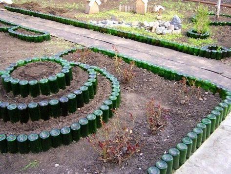 Desert Landscape Front Yard, Wine Bottle Garden, Upcycle Garden, Garden Basket, Front Yard Design, Recycled Garden, Bottle Garden, Unique Gardens, Garden Edging