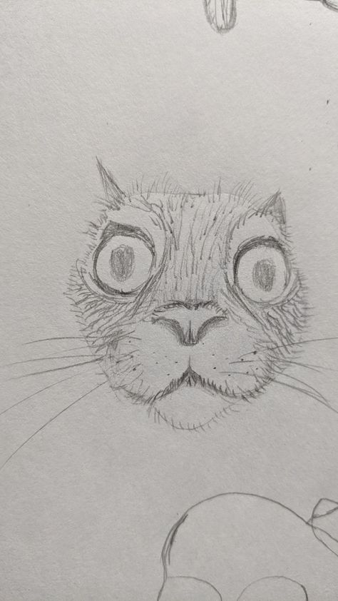 Sketch by IdyllicallyCalm Cat Sketches Cute, Cat To Draw, How To Draw Cat, Cute Drawings Cat, Two Cats Drawing, Cat Sketch Easy, Sketches Of Cats, Silly Cat Drawings, Sketches Cat