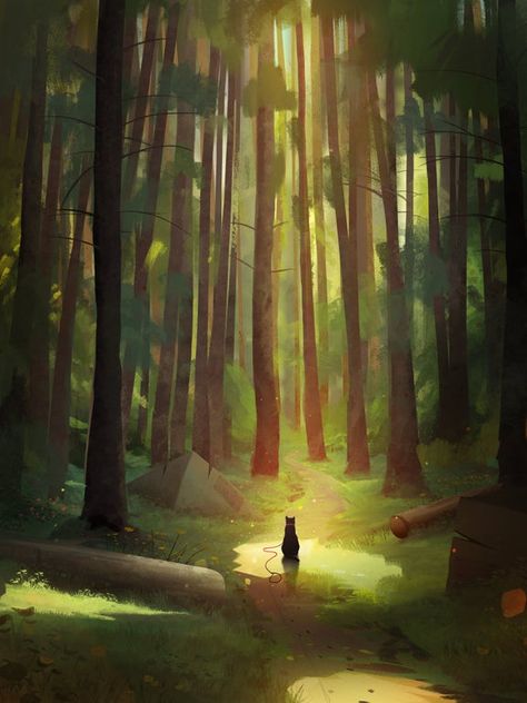 Forest Path by Mattia Lau : ImaginaryPathways Forest Drawing, Wood Illustration, Forest Background, Forest Illustration, Forest Path, Forest Painting, Landscape Artwork, Background Art, Landscape Illustration