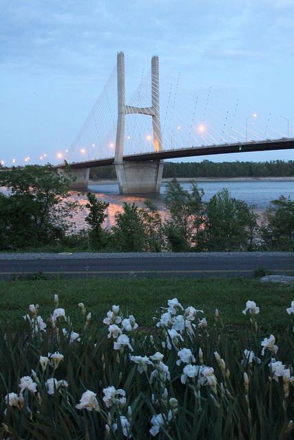 Bridge at Springtime by Cape Girardeau Convention and Visitors Bureau, via Flickr Cape Girardeau Missouri, Southeast Missouri, Spring Getaway, Cape Girardeau, Pink Houses, Alma Mater, Mississippi River, Location Photography, Scenic Drive