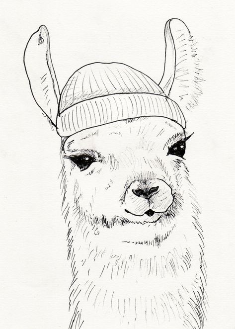 Llama in a Hat Fine Liner Pen Sketch by HannahMeyers on DeviantArt Simple Moose Doodle, Pen Sketches Simple, Llama Sketch, Llama Drawing, Wooly Hat, Fine Liner Pen, Ink Drawing Techniques, Whiteboard Art, Black Power Art