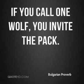 Wolf Pack Quotes, Proverb Quotes, Lone Wolf Quotes, Wolf Quotes, Notable Quotes, Wolf Love, Warrior Quotes, Divine Light, Teen Fiction