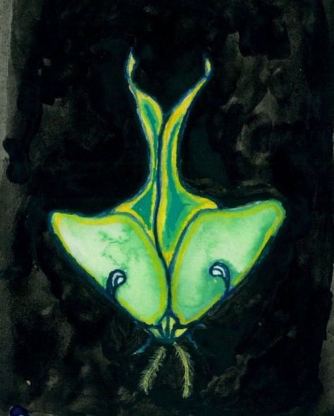 Moth Drawing, Maya Hawke, Moth Art, Luna Moth, Human Soul, Cool Posters, Cool Drawings, I Tattoo, Moth