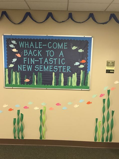 Under The Sea Ra Theme, Ra Hall Themes, Residence Life Bulletin Boards, School Lobby, School Hallway Decorations, Dorm Bulletin Boards, Ra Decorations, Door Decorations College, Dorm Themes