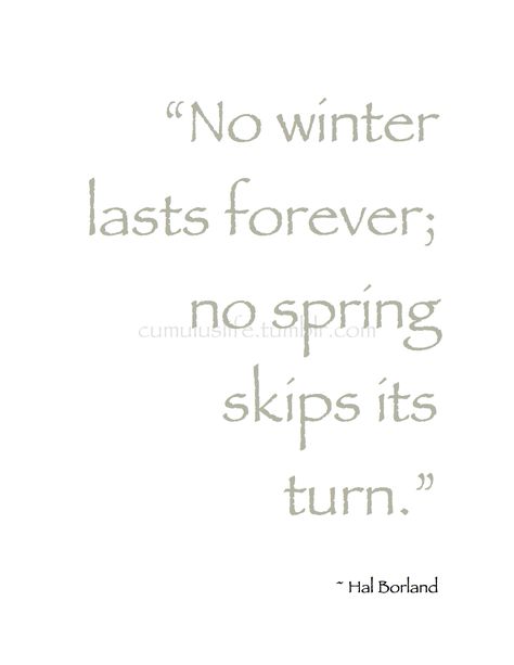 Winter *❄~*. Wishes & Dreams .*~❄* “No winter lasts forever; no spring skips its turn.” ~Hal Borland #Quote #Seasons Hello March, Winter Wishes, Winter Red, Gloomy Day, Cycle Of Life, New Month, How To Get Warm, Tell The Truth, Winter Time