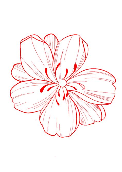 Tropical Flower Drawing Easy, Hibiscus Line Drawing, Flower Tattoos For Arm, Realism Stencil, Elephant Head Tattoo, Hibiscus Flower Drawing, Flower Tattoo Stencils, Hibiscus Flower Tattoos, Father Tattoos