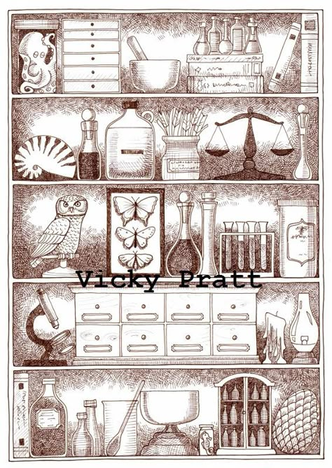 Cabinet Of Curiosity Illustration, Cabinet Of Curiosities Drawing, Cabinet Of Curiosities Art, Apothecary Sketch, Cabinet Of Curiosities Illustration, Apothecary Drawing, Apothecary Illustration, Apothecary Tattoo, Cabinet Illustration