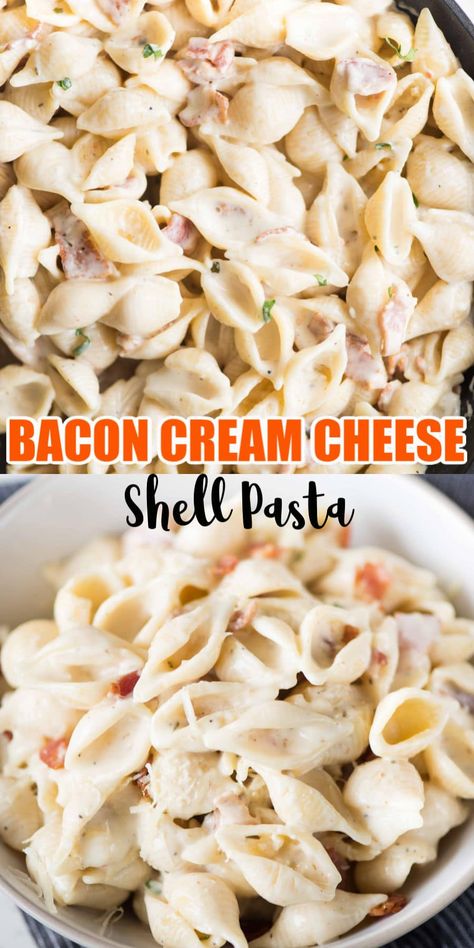 Recipes With Small Shells Pasta, Small Shell Noodle Recipes, Recipes With Shell Pasta, Small Pasta Shell Recipes, Shell Macaroni Recipes, Small Shells Pasta Recipes, Bacon Cream Cheese Pasta, Conchiglie Pasta Recipes, Medium Shells Pasta Recipes