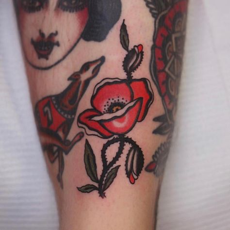 Traditional Poppy Tattoo, California Poppy Tattoo, Traditional Flowers, Poppy Tattoo, Old Scool, Poppies Tattoo, Snake Tattoo Design, Creative Fashion Photography, Snake Tattoo