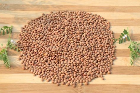 Ripe lentils on shop for sell are cash crops royalty free stock image Cash Crops, Cash Crop, Lentils, Parsley, Stock Images Free, Photo Image, Stock Images, Royalty, Royalty Free