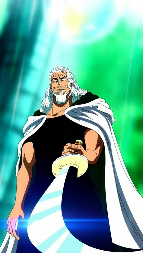 Rayleigh Wallpaper, Silver Rayleigh Wallpaper, Dark King Rayleigh, Rayleigh One Piece, Silvers Rayleigh, Dark King, One Piece Gif, One Piece Photos, Pirate King