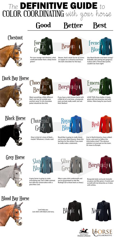 Cai Sălbatici, Horse Facts, Rasy Koni, Horse Riding Tips, Horse Fashion, Bay Horse, Equestrian Fashion, Horse Tips, Grey Horse