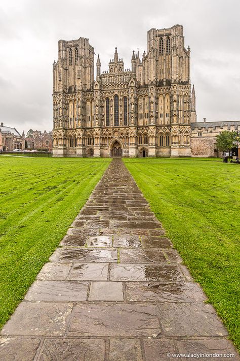 Wells Cathedral, England Wells Cathedral England, Traveling England, England Cities, Peterborough Cathedral, Cities In England, Gloucester England, Wells Cathedral, Visit York, Building Reference