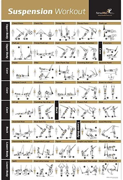 Gymnastic Rings Workout, Trx Workout Plan, Suspension Workout, Ring Workout, Trx Full Body Workout, Exercise Poster, Rings Workout, How To Start Exercising, Trx Suspension