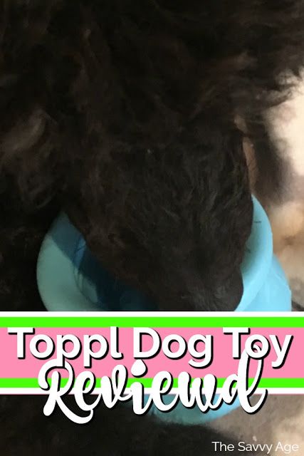 Toppl Dog, West Paw, Food Dispensers, Canned Dog Food, Dog Puzzles, Soft Food, Enjoy Writing, New Dog, Pet Care Tips