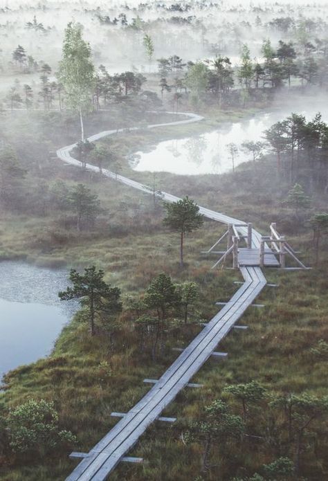 Wonderful sunrise in Kemeri National park. Estonia Aesthetic, Landscape Park, Gorgeous Places, Riga Latvia, Story Telling, Visitor Center, National Geographic Photos, Amazing Photos, Riga