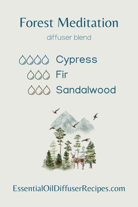 The Forest Meditation essential oil diffuser blend combines cypress, fir, and sandalwood essential oils.

Try Blue Cypress for a subtle minty boost to this diffuser blend. Sandalwood Essential Oil Blends, Grounding Diffuser Blend, Essential Oil Blends For Soap, Forest Meditation, Aromatherapy Oil Blends, Diy Diffuser Blends, Blue Cypress, Fall Essential Oils, Scent Blends