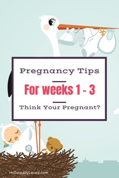 Think You’re Pregnant? Tips for Weeks 1 - 3 — Holistically Loved Pregnant Tips, Pregnancy Tips, Prenatal, You Think