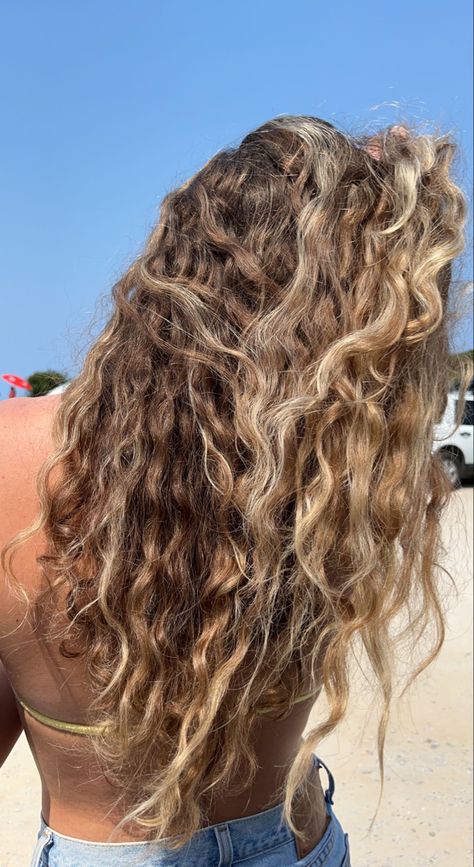 Highlights Curly Hair, Beachy Hair, Blonde Curly Hair, Dirty Blonde Hair, Natural Wavy Hair, Honey Hair, Blonde Hair Looks, Wavy Curly Hair, Hair Inspo Color