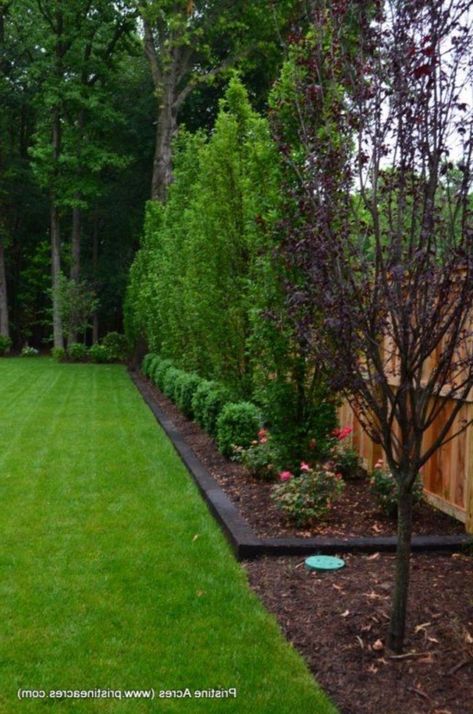 Backyard Landscape Idea Acreage Landscaping, Large Backyard Landscaping, Privacy Landscaping, Backyard Privacy, Backyard Landscaping Ideas, Large Backyard, Fence Landscaping, Home Landscaping, Backyard Fences