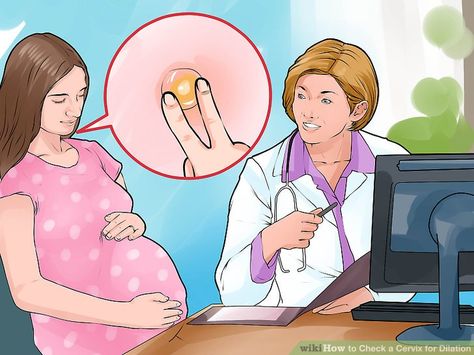 How to Check a Cervix for Dilation: 15 Steps (with Pictures) Cervix Dilation Chart, Cervix Dilation, Weekly Pregnancy Photos, Phases Of Labor, Preterm Labor, Induce Labor, Medical Videos, Stages Of Labor, Obstetrics And Gynaecology