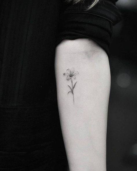 Single needle lily tattoo on the left inner forearm. Small Lily Tattoo, Stargazer Lily Tattoo, Lilly Flower Tattoo, Tiger Lily Tattoos, Tiny Flower Tattoos, Lillies Tattoo, Lily Tattoo Design, Needle Tattoo, Lily Flower Tattoos