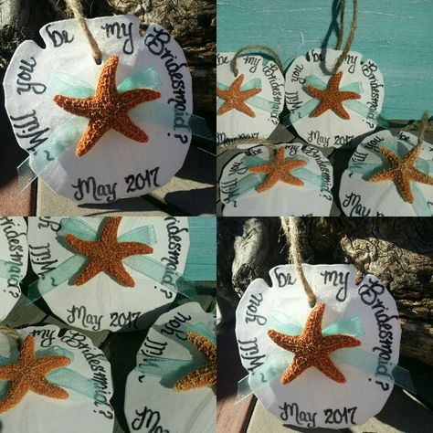 Will you be my bridesmaid? New & fresh ideas for that beach wedding, coming soon to SeashellsbySeashore on Etsy Calligraphy Ornaments, Sand Dollar Ornaments, Proposal Beach, Wedding Cricut, Beach Wedding Coral, Sand Dollar Ornament, Wedding Coastal, Honeymoon Cruise, Party Boxes