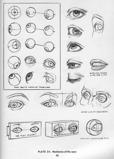 Andrew Loomis_eyes                                                                                                                                                                                 More Eye Anatomy, Realistic Eye Drawing, 얼굴 드로잉, Drawing Heads, 인물 드로잉, Anatomy Drawing, Art Instructions, Anatomy Reference, Drawing Lessons